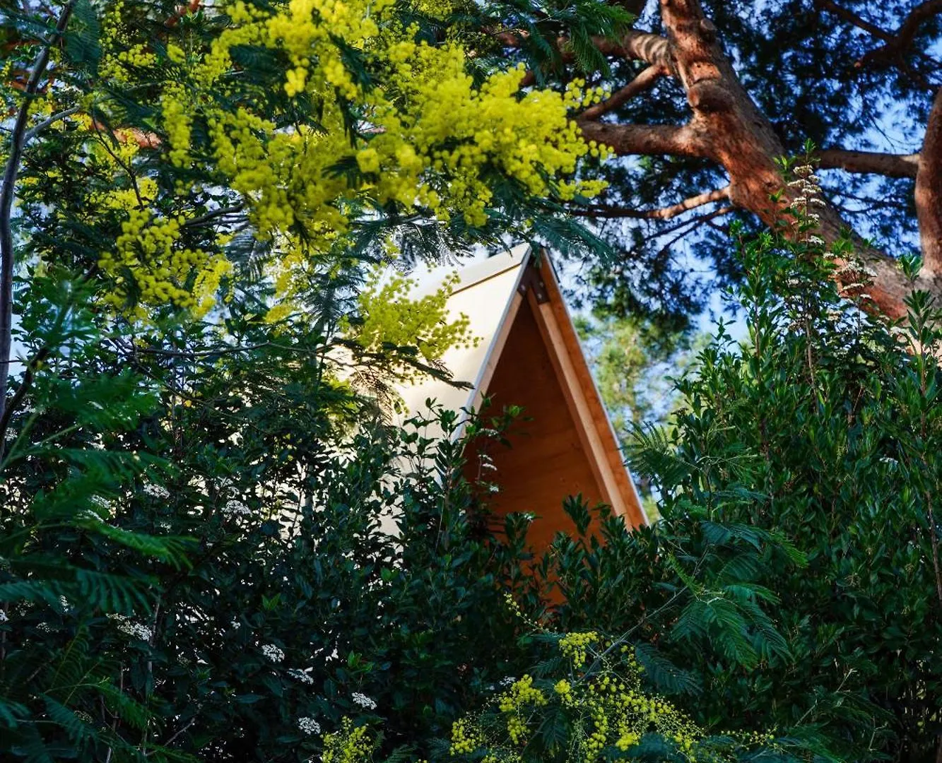 Glamping Fonte Murata Portoferraio Italy